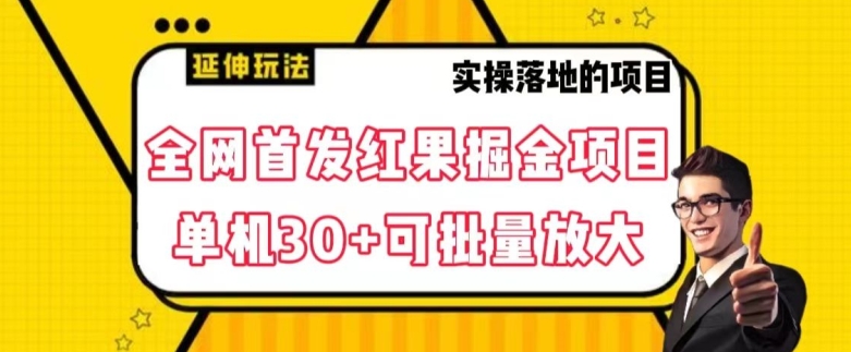 全网首发红果免费短剧掘金项目，单机30+可批量放大【揭秘】-观棋网创
