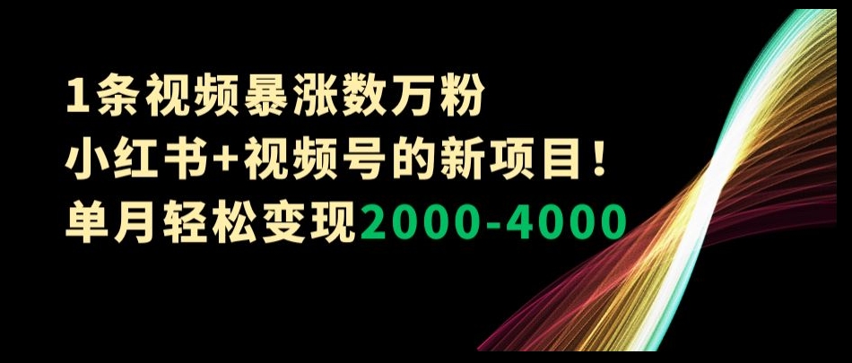 1条视频暴涨数万粉–小红书+视频号的新项目！单月轻松变现2000-4000【揭秘】-观棋网创