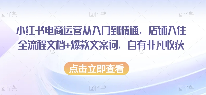 小红书电商运营从入门到精通，店铺入住全流程文档+爆款文案词，自有非凡收获-观棋网创