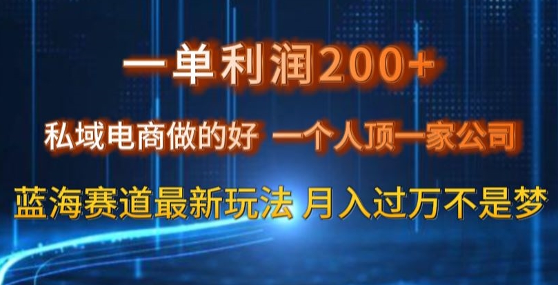 一单利润200私域电商做的好，一个人顶一家公司蓝海赛道最新玩法【揭秘】-观棋网创