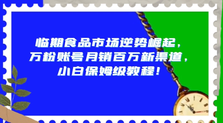 临期食品市场逆势崛起，万粉账号月销百万新渠道，小白保姆级教程【揭秘】-观棋网创
