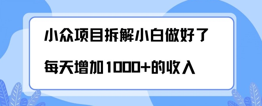 小众项目拆解，小白做好了每天可增加1000多的收入-观棋网创