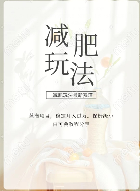 减肥流量主新玩法，轻松月入1W，可矩阵操作收入翻倍-观棋网创