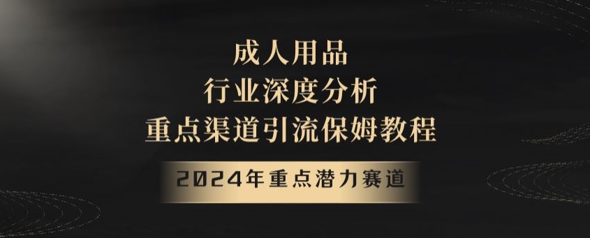 2024年重点潜力赛道，成人用品行业深度分析，重点渠道引流保姆教程【揭秘】-观棋网创