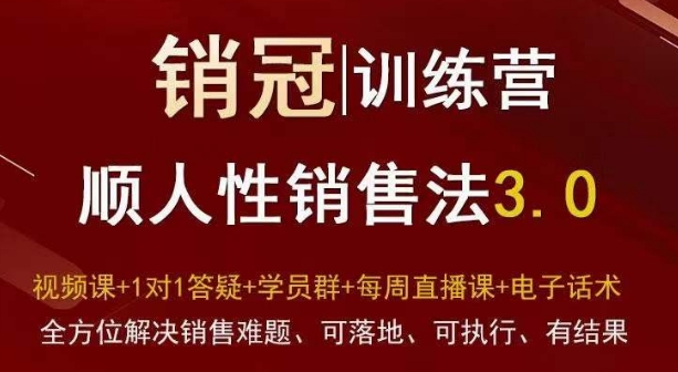 爆款！销冠训练营3.0之顺人性销售法，全方位解决销售难题、可落地、可执行、有结果-观棋网创