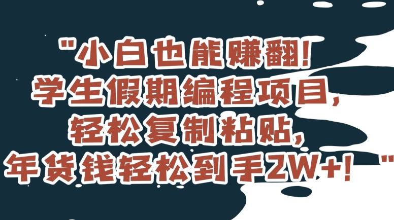 小白也能赚翻！学生假期编程项目，轻松复制粘贴，年货钱轻松到手2W+【揭秘】-观棋网创