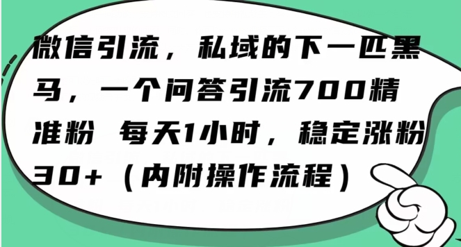 怎么搞精准创业粉？微信新赛道，每天一小时，利用Ai一个问答日引100精准粉-观棋网创
