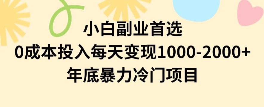 小白副业首选，0成本投入，每天变现1000-2000年底暴力冷门项目【揭秘】-观棋网创