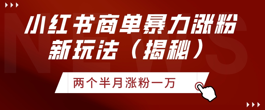 小红书商单暴力涨粉新玩法两个半月涨粉一万（揭秘）-观棋网创