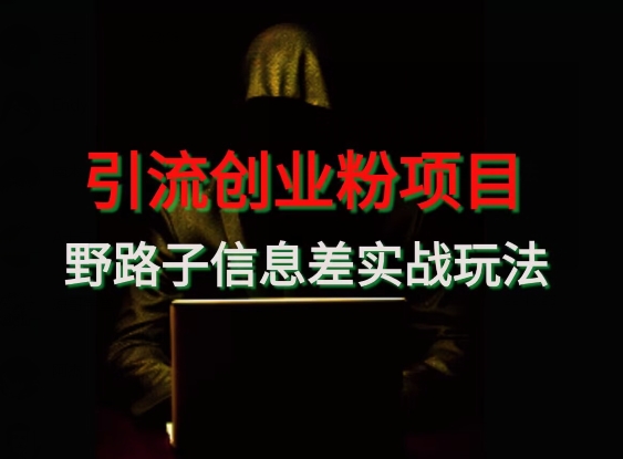 【引流创业粉】野路子信息差玩法实战教学-观棋网创