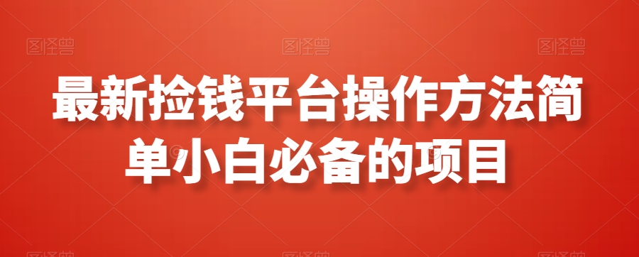 最新捡钱平台操作方法简单小白必备的项目-观棋网创