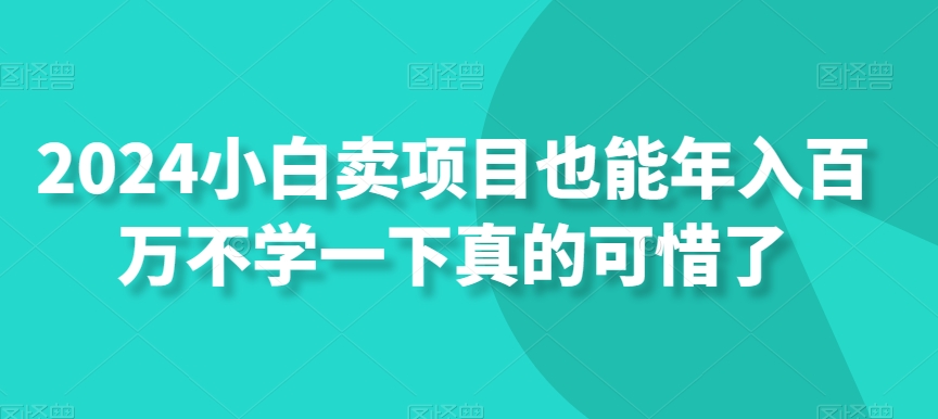 2024小白卖项目也能年入百万不学一下真的可惜了-观棋网创