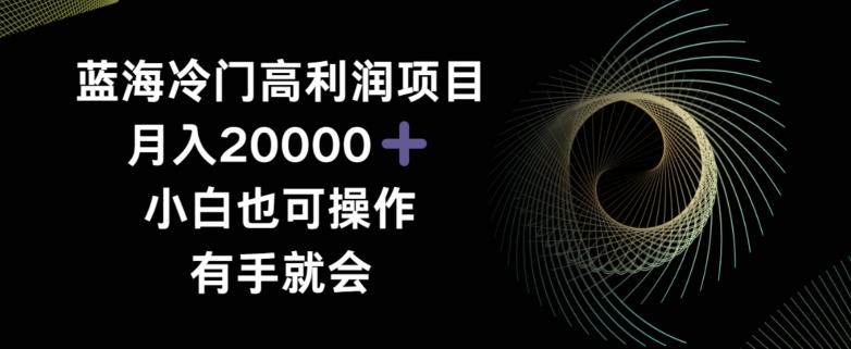 蓝海冷门高利润项目月入2000，小白也可操作有手就会-观棋网创