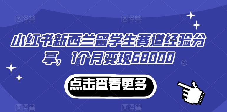 小红书新西兰留学生赛道经验分享，1个月变现68000【揭秘】-观棋网创