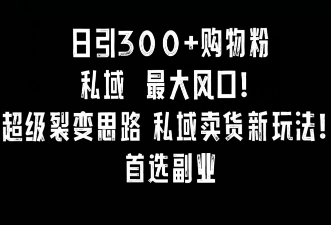 日引300+购物粉，超级裂变思路，私域卖货新玩法，小红书首选副业【揭秘】-观棋网创