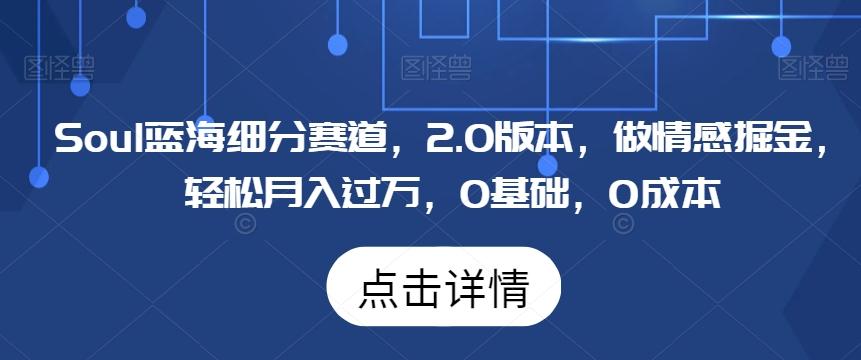 Soul蓝海细分赛道，2.0版本，做情感掘金，轻松月入过万，0基础，0成本-观棋网创