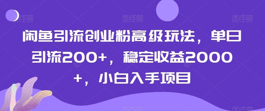 闲鱼引流创业粉高级玩法，单日引流200+，稳定收益2000+，小白入手项目-观棋网创