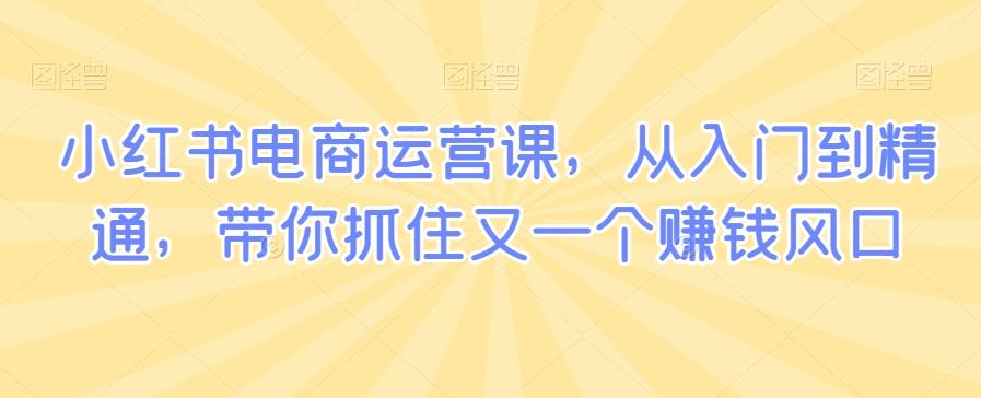 小红书电商运营课，从入门到精通，带你抓住又一个赚钱风口-观棋网创
