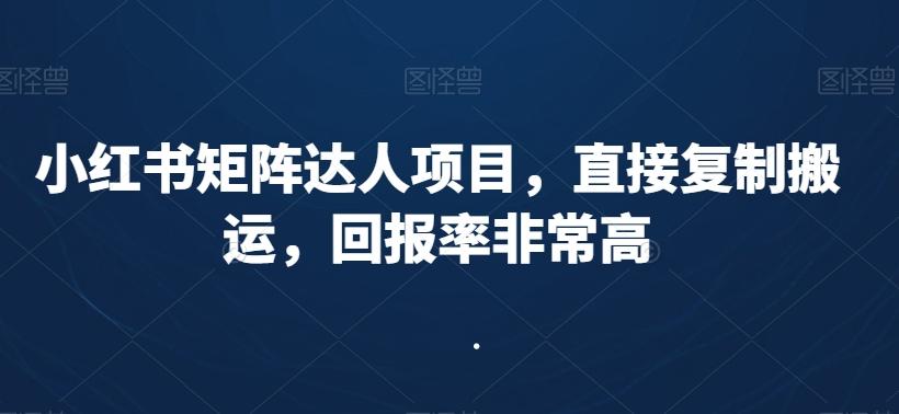 小红书矩阵达人项目，直接复制搬运，回报率非常高-观棋网创
