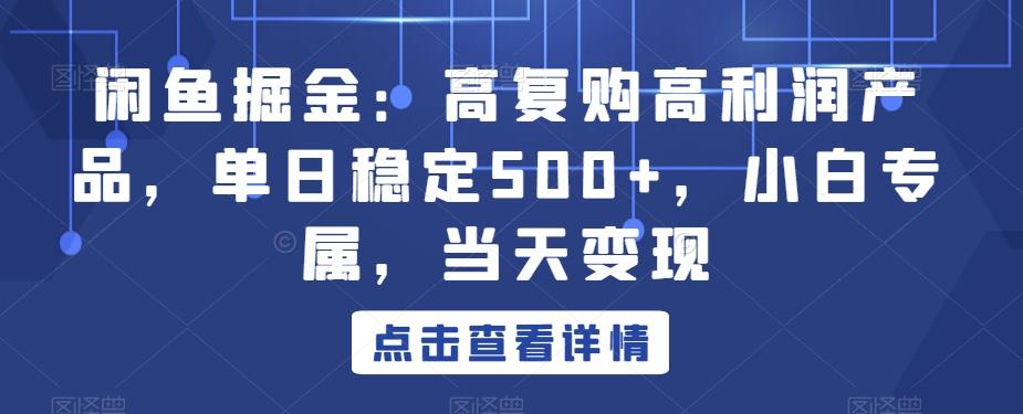 闲鱼掘金：高复购高利润产品，单日稳定500+，小白专属，当天变现-观棋网创