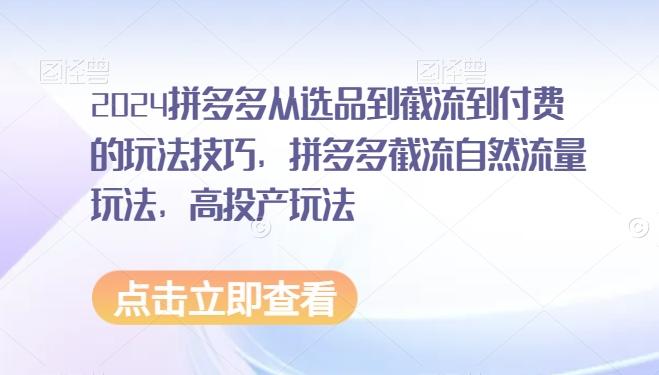 2024拼多多从选品到截流到付费的玩法技巧，拼多多截流自然流量玩法，高投产玩法-观棋网创