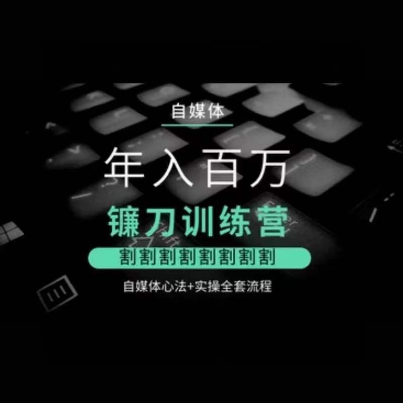 自媒体年入百万镰刀训练营，割割割割割割割割，自媒体心法+实操全套流程-观棋网创