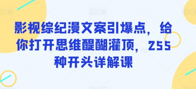 影视综纪漫文案引爆点，给你打开思维醍醐灌顶，255种开头详解课-观棋网创