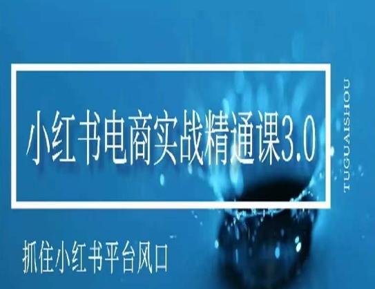 小红书电商实战精通课3.0，抓住小红书平台的风口，不错过有一个赚钱的机会-观棋网创