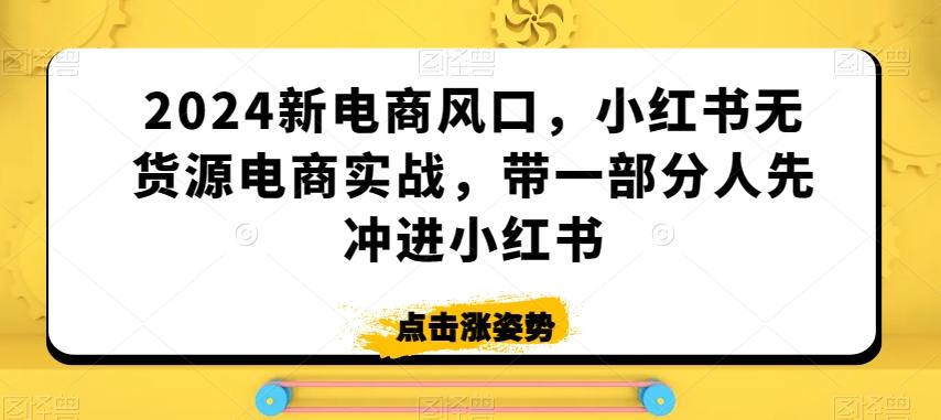 2024新电商风口，小红书无货源电商实战，带一部分人先冲进小红书-观棋网创