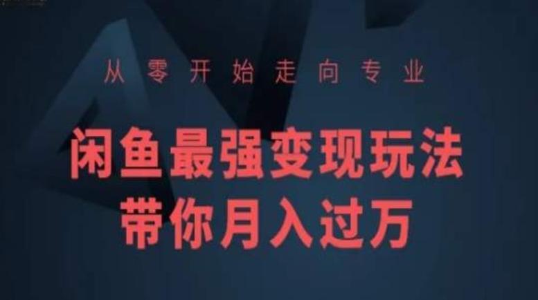 从零开始走向专业，闲鱼最强变现玩法带你月入过万-观棋网创