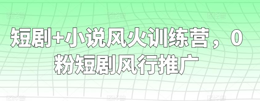 短剧+小说风火训练营，0粉短剧风行推广-观棋网创