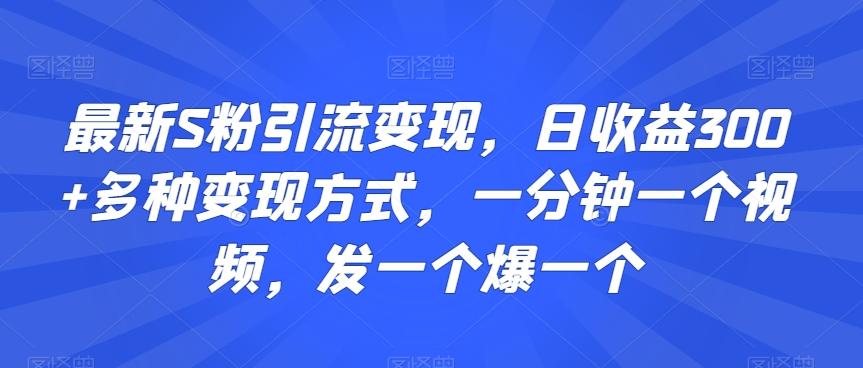 最新S粉引流变现，日收益300+多种变现方式，一分钟一个视频，发一个爆一个【揭秘】-观棋网创