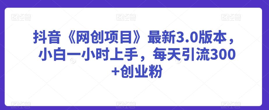 抖音《网创项目》最新3.0版本，小白一小时上手，每天引流300+创业粉【揭秘】-观棋网创