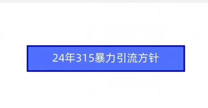 24年315暴力引流方针-观棋网创