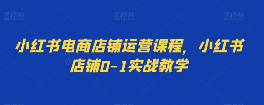 小红书电商店铺运营课程，小红书店铺0-1实战教学-观棋网创