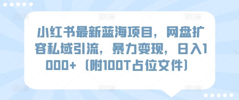 小红书最新蓝海项目，网盘扩容私域引流，暴力变现，日入1000+(附100T占位文件)【揭秘】-观棋网创