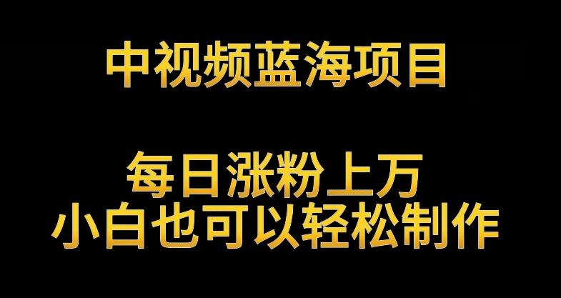 中视频蓝海项目，解读英雄人物生平，每日涨粉上万，小白也可以轻松制作，月入过万不是梦【揭秘】-观棋网创