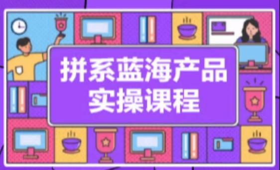 拼系冷门蓝海产品实操课程，从注册店铺到选品上架到流量维护环环相扣-观棋网创