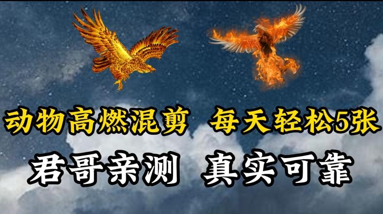 动物超燃混剪，每天轻松5张，剪辑简单大家爱看【揭秘】-观棋网创