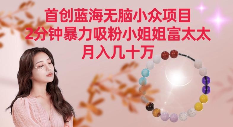 首创蓝海无脑小众项目，2分钟暴力吸粉小姐姐富太太，月入几十万【揭秘】-观棋网创