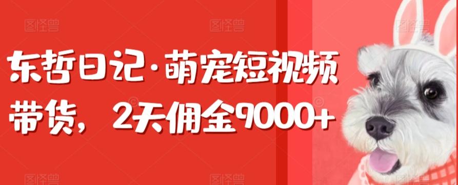 东哲日记·萌宠短视频带货，2天佣金9000+-观棋网创