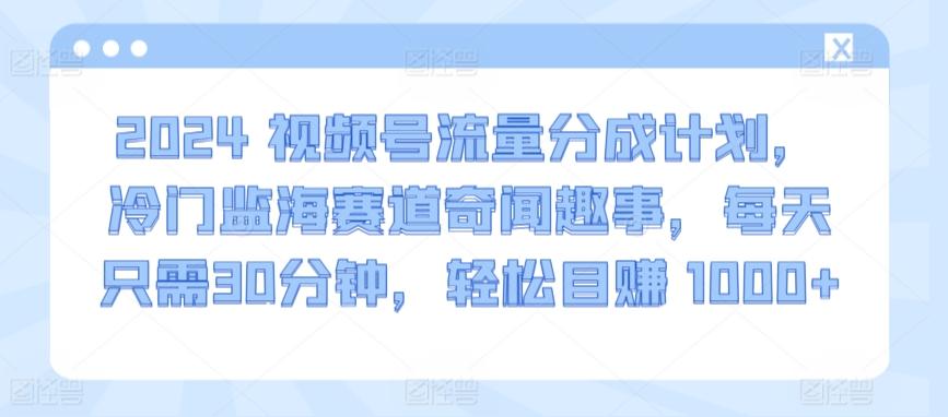 2024视频号流量分成计划，冷门监海赛道奇闻趣事，每天只需30分钟，轻松目赚 1000+【揭秘】-观棋网创