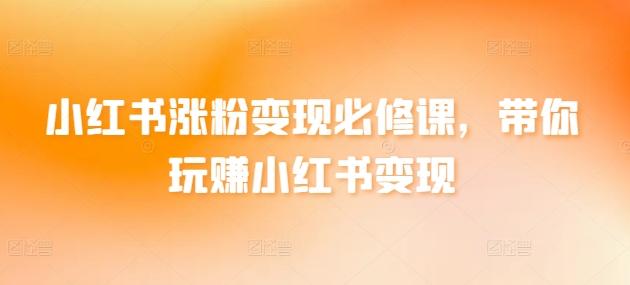 小红书涨粉变现必修课，带你玩赚小红书变现-观棋网创