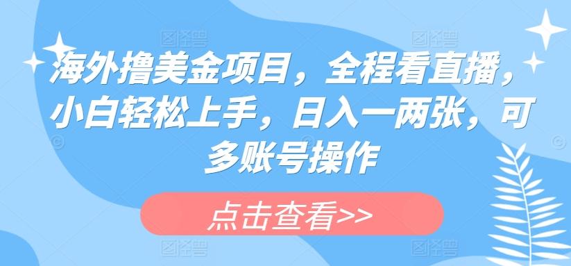 海外撸美金项目，全程看直播，小白轻松上手，日入一两张，可多账号操作【揭秘】-观棋网创