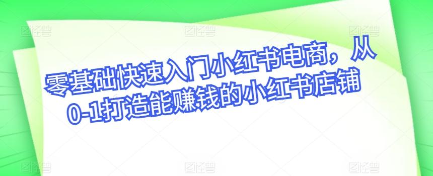 零基础快速入门小红书电商，从0-1打造能赚钱的小红书店铺-观棋网创