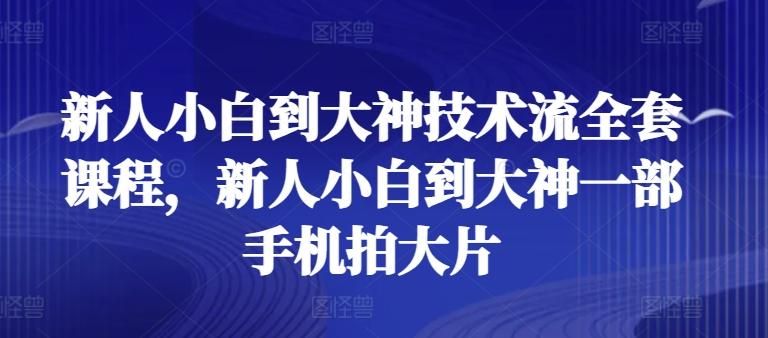 新人小白到大神技术流全套课程，新人小白到大神一部手机拍大片-观棋网创