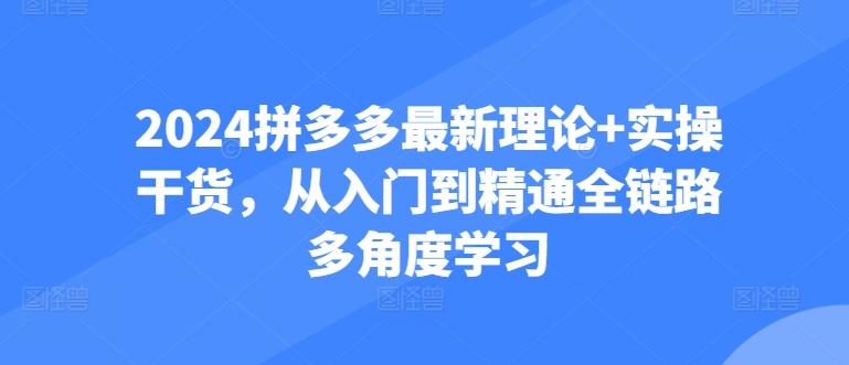 2024拼多多最新理论+实操干货，从入门到精通全链路多角度学习-观棋网创