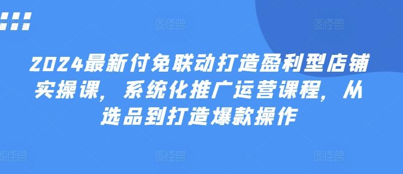 2024最新付免联动打造盈利型店铺实操课，​系统化推广运营课程，从选品到打造爆款操作-观棋网创