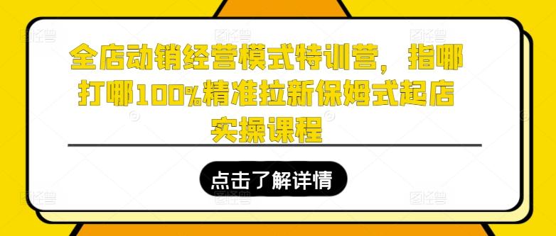全店动销经营模式特训营，指哪打哪100%精准拉新保姆式起店实操课程-观棋网创