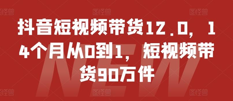 抖音短视频带货12.0，14个月从0到1，短视频带货90万件-观棋网创